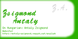 zsigmond antaly business card